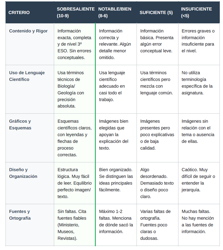 Rúbrica infografía